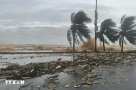 Sáng sớm ngày 10/11, bão Fung-Wong đã đi vào vùng biển phía Đông khu vực Bắc Biển Đông, trở thành cơn bão số 14 trong năm 2025. (Nguồn ảnh: TTXVN)