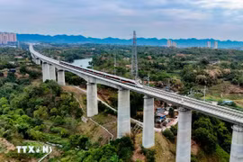 (Ảnh minh họa. Nguồn: Vietnam+)
