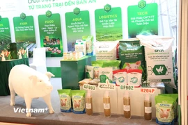 Việt Nam hiện đang nằm trong nhóm các quốc gia chăn nuôi hàng đầu thế giới; trong đó đàn lợn đứng thứ 5, đàn gia cầm đứng thứ 9. (Ảnh: Phương Nguyễn/Vietnam+)