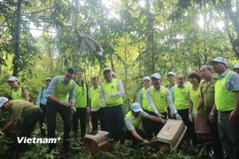Bảo vệ “kho báu” đa dạng sinh học: Việt Nam cần kiểm soát chặt các tác động 