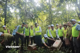 Bảo vệ “kho báu” đa dạng sinh học: Việt Nam cần kiểm soát chặt các tác động 