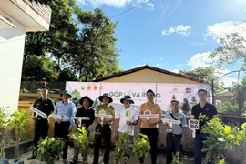 Năm 2025, Chiến dịch “Góp Lá Vá Rừng” tiếp nối ở quy mô lớn hơn năm trước, với hơn 60.000 cây được trồng trên diện tích gần 100 ha. (Ảnh: PanNature)