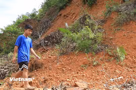 (Ảnh minh họa. Nguồn: Vietnam+)