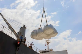 Chất lượng gạo Việt Nam được khẳng định khi hiện nay mặt hàng này đã có mặt ở hơn 150 quốc gia và vùng lãnh thổ. (Nguồn ảnh: TTXVN)