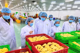 Mở rộng không gian thị trường cho nông sản. (Ảnh: BNNMT)
