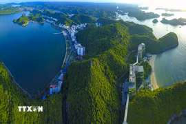 (Ảnh minh họa. Nguồn: Vietnam+)