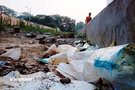 (Ảnh minh họa. Nguồn: Vietnam+)