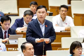Đại biểu Quốc hội tỉnh Gia Lai Lê Hoàng Anh phát biểu. (Ảnh: Doãn Tấn/TTXVN)
