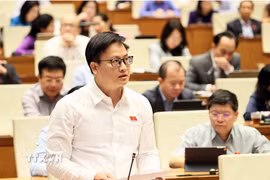 Đại biểu Quốc hội thành phố Đà Nẵng Phan Duy Anh phát biểu. (Ảnh: An Đăng/TTXVN)