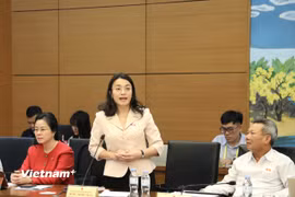 Đại biểu Hoàng Thị Thu Trang, Đoàn Đại biểu Quốc hội tỉnh Nghệ An. (Ảnh: PV/Vietnam+)