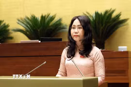 Bộ trưởng Bộ Văn hóa, Thể thao và Du lịch Lâm Thị Phương Thanh trình bày Tờ trình về dự thảo Nghị quyết của Quốc hội về một số cơ chế, chính sách đột phá phát triển văn hoá Việt Nam. (Ảnh: An Đăng/TTXVN)