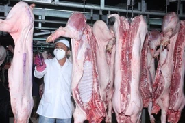 Kiểm định chất lượng gia súc sau khi giết mổ. (Nguồn: TTXVN)