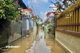 Trên địa bàn thành phố Hà Nội hiện vẫn còn 1.503 nhà bị ngập do mưa lũ sau bão số 11. (Ảnh: Bảo Ngọc/Vietnam+)