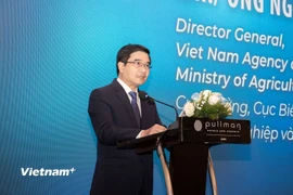 Ông Nguyễn Đức Toàn - Cục trưởng Cục Biển và Hải đảo Việt Nam. (Ảnh: PV/Vietnam+)