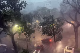 Mưa dông lớn do ảnh hưởng bão số 3 khiến nhiều cây xanh, xe cộ bị quật đổ trên đường ở Hà Nội. (Ảnh: An Đăng/TTXVN)