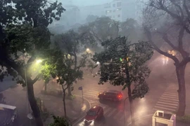 Mưa dông lớn do ảnh hưởng bão số 3 khiến nhiều cây xanh, xe cộ bị quật đổ trên đường ở Hà Nội. (Ảnh: An Đăng/TTXVN)