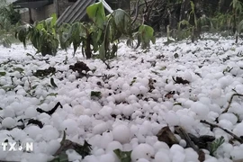 Mưa đá. (Ảnh minh hoạ. Nguồn: TTXVN phát)
