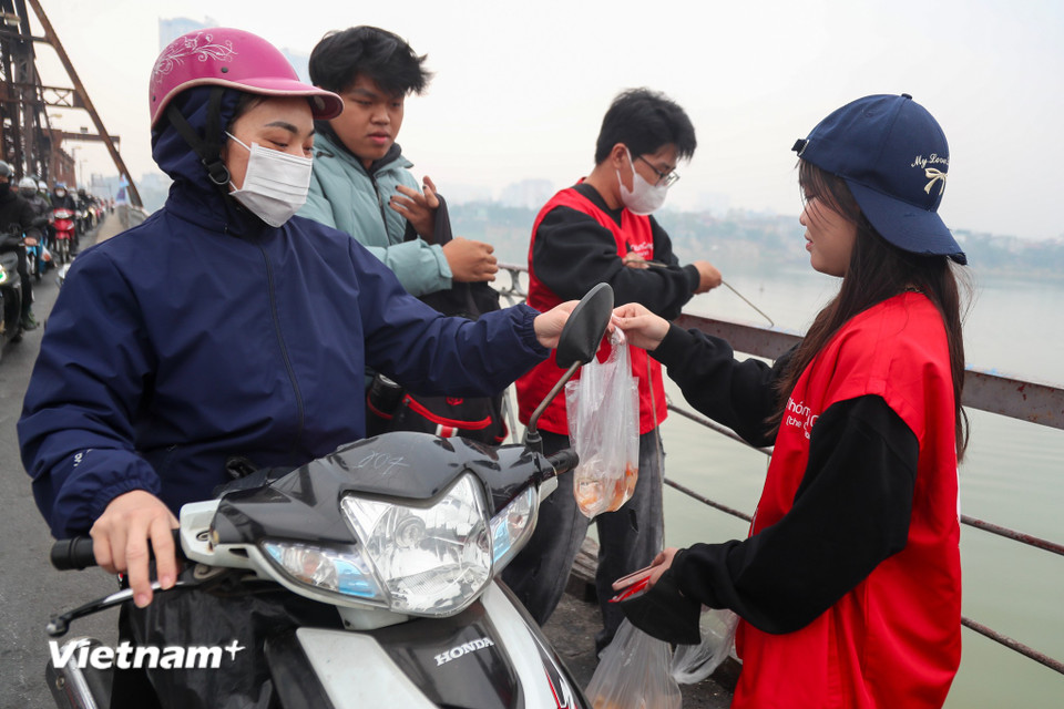 Theo ghi nhận của phóng viên tại khu vực cầu Long Biên, nhóm bạn trẻ hỗ trợ người dân thả cá chép và thu gom túi nilon. (Ảnh: Hoài Nam/Vietnam+)