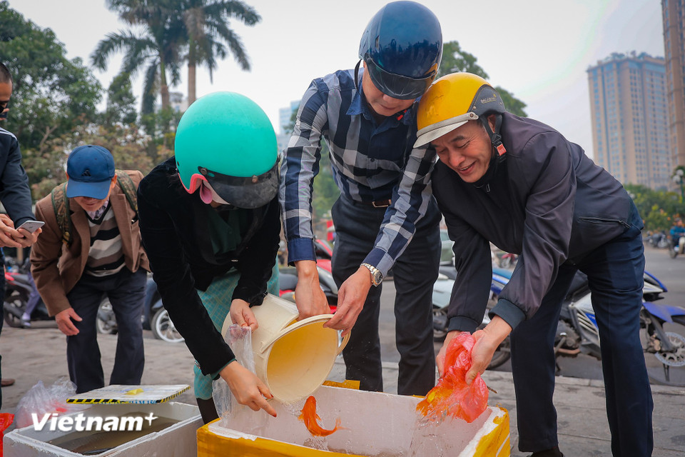 Quanh khu vực hồ Tây, chính quyền địa phương có những điểm hỗ trợ người dân thả cá và tránh xả rác thải ra môi trường. (Ảnh: Hoài Nam/Vietnam+)