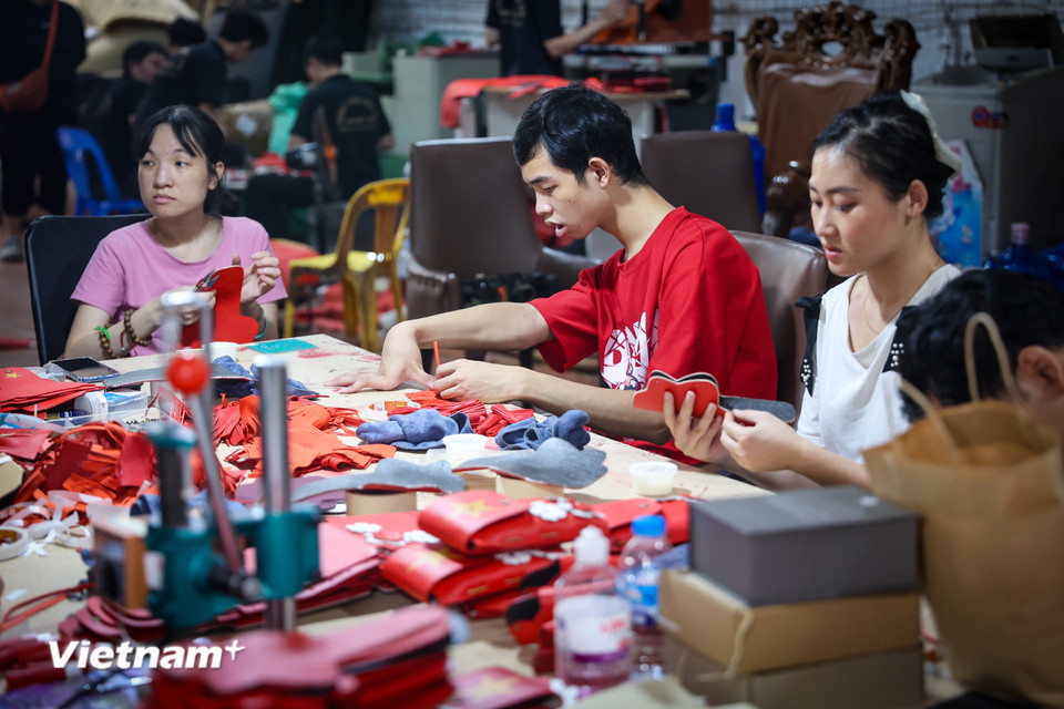 Dự án cũng hướng tới đào tạo nghề và hỗ trợ cho những người yếu thế trong xã hội. (Ảnh: Hoài Nam/Vietnam+)