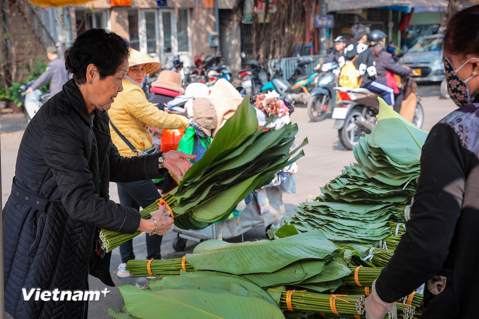 Tiểu thương tại chợ cho biết, giá lá dong hiện từ 55.000 - 120.000 đồng/bó 50 lá tùy loại và lạt buộc 15.000 đồng/bó. (Ảnh: Hoài Nam/Vietnam+)