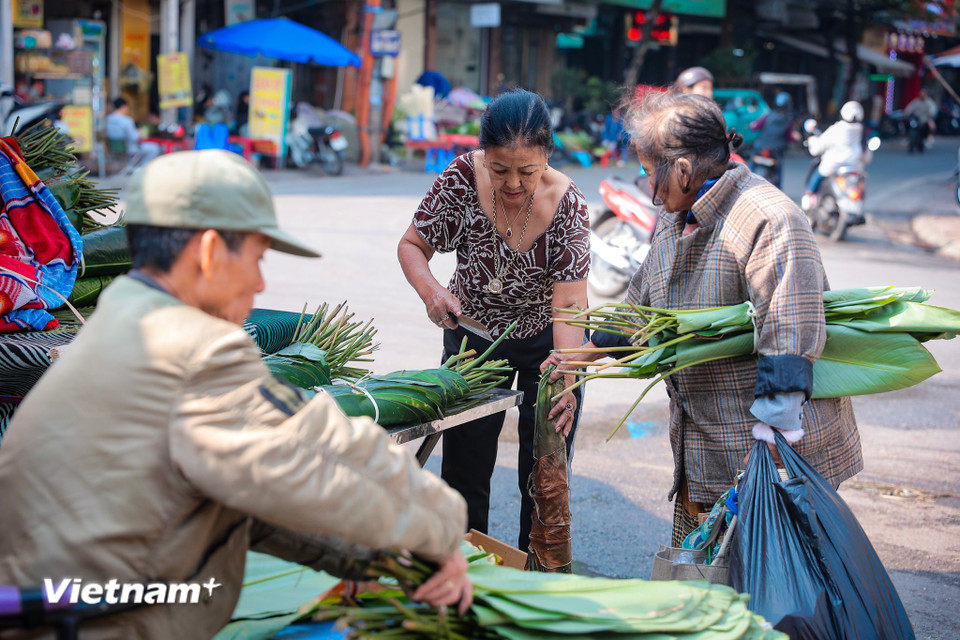 Nhiều người đã đến chợ lựa mua lá dong to, đẹp, xanh mướt để gói bánh chưng đón Tết cổ truyền. (Ảnh: Hoài Nam/Vietnam+)