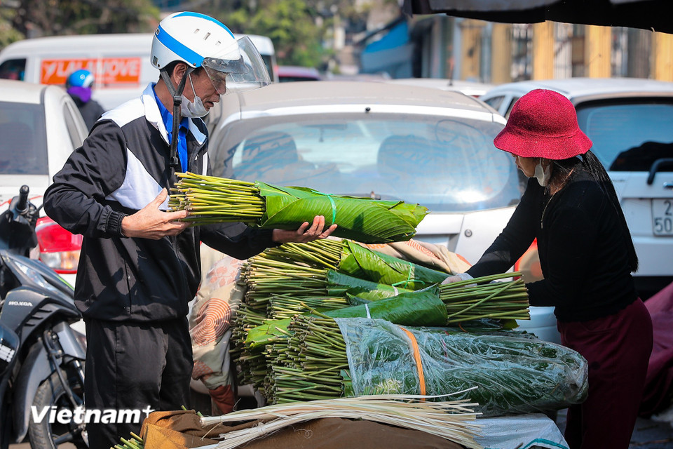 Những ngày cận Tết Nguyên đán 2025, con phố Trần Quý Cáp dài hơn 50m nhưng có khoảng 7 - 8 sạp hàng đủ các loại lá dong luôn tấp nập mua bán. (Ảnh: Hoài Nam/Vietnam+)