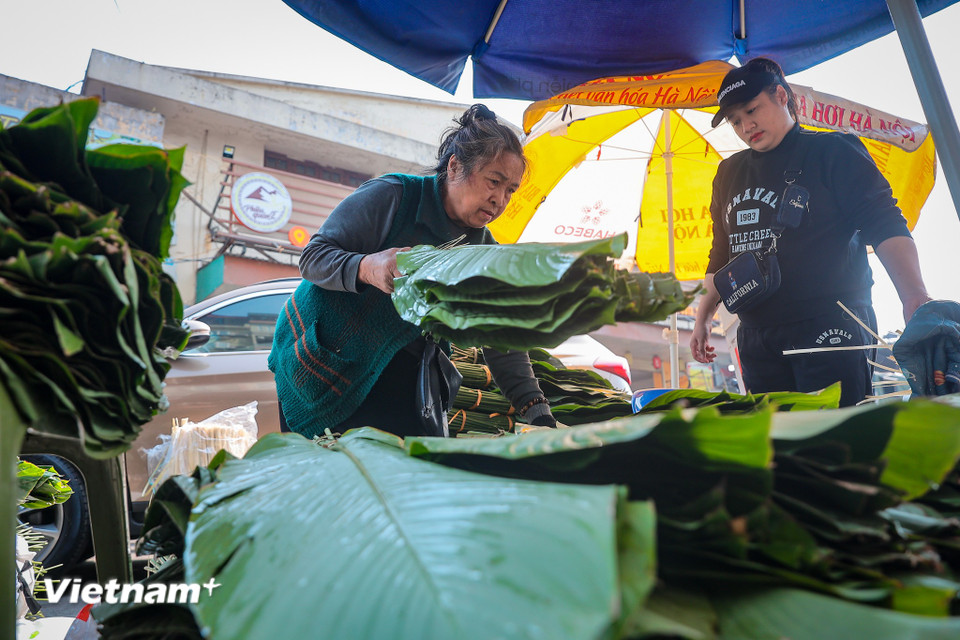 Lá dong rừng thường được khách ưa chuộng hơn, bán chạy hơn vì khi gói bánh sẽ cho ra màu xanh đẹp, bánh thơm, lúc bóc không bị dính còn lá dong quê gói bánh chưng thì sẽ hơi ngả vàng. (Ảnh: Hoài Nam/Vietnam+)