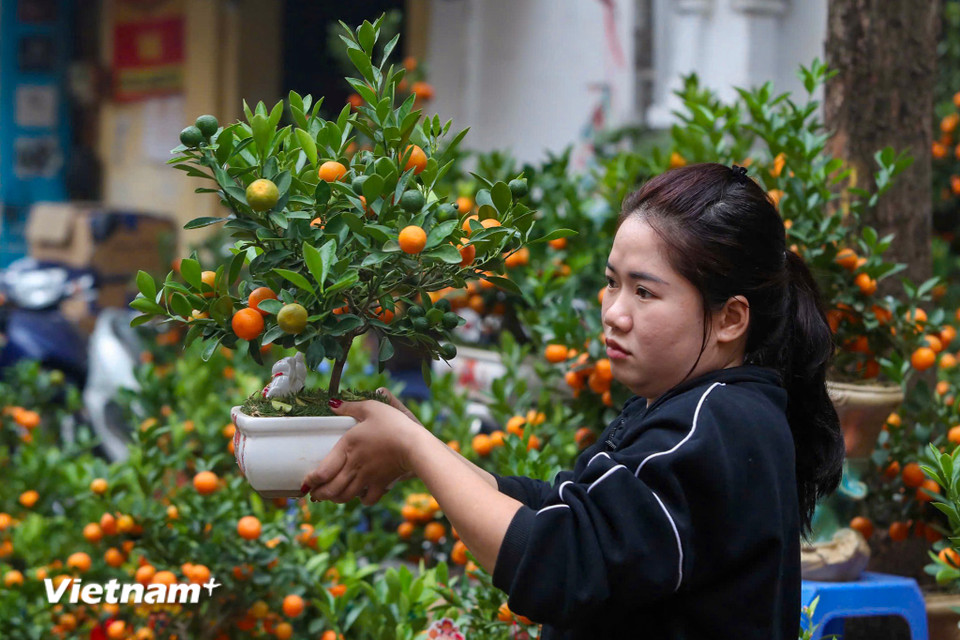 Tiểu thương hối hả bày bán hàng với đa dạng các mẫu mã từ truyền thống đến những mẫu mã theo thị trường những năm gần đây. (Ảnh: Hoài Nam/Vietnam+)