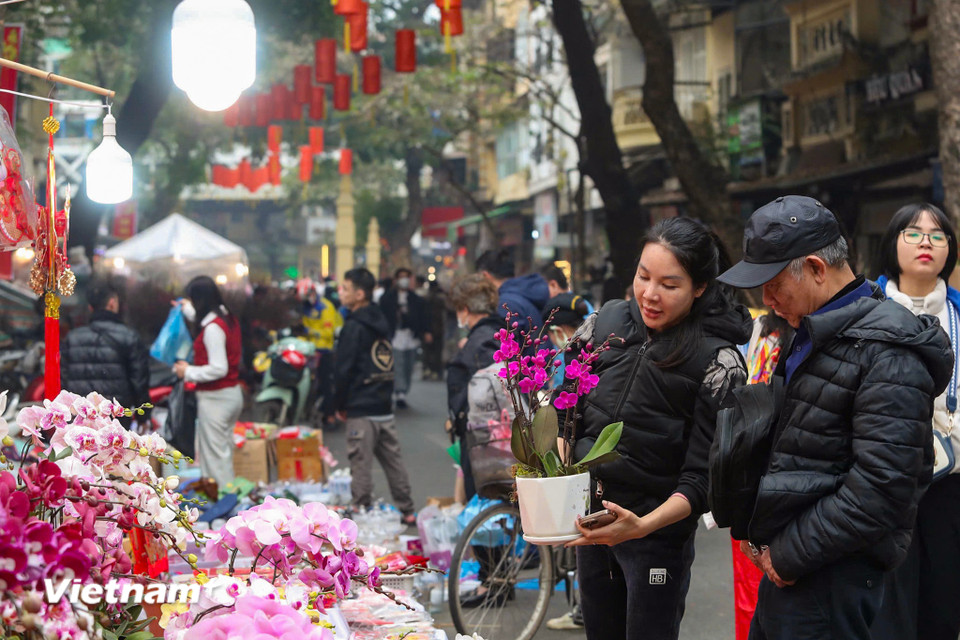 Mặc dù chợ có nhiều thay đổi, đông vui, tấp nập, đa dạng các loại hoa và mở rộng hơn xưa nhưng nhiều người lựa chọn vẫn đến đây để tìm được cảm giác vui tươi, xốn xang của ngày Tết cổ truyền của Hà Nội xưa. (Ảnh: Hoài Nam/Vietnam+)
