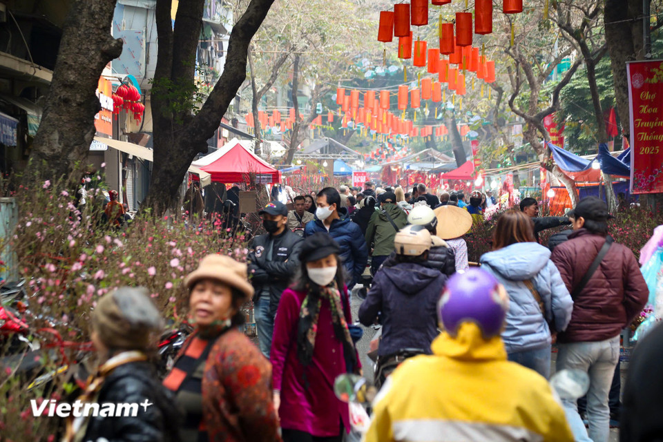 Đã thành thông lệ, từ 15 đến 30 tháng Chạp hằng năm, người dân từ khắp các vùng trồng hoa mang đào, quất và nhiều chủng loại hoa Tết về, tạo nên một không gian náo nhiệt. (Ảnh: Hoài Nam/Vietnam+)