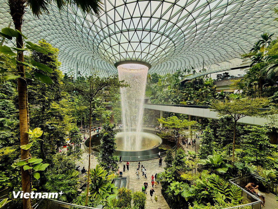 Ở Singapore có điểm chụp ảnh nổi tiếng ở sân bay Changi là thác nước Rain Vortex tại khu phức hợp Jewel Changi. (Ảnh: Trần Hương Sơn/Vietnam+)