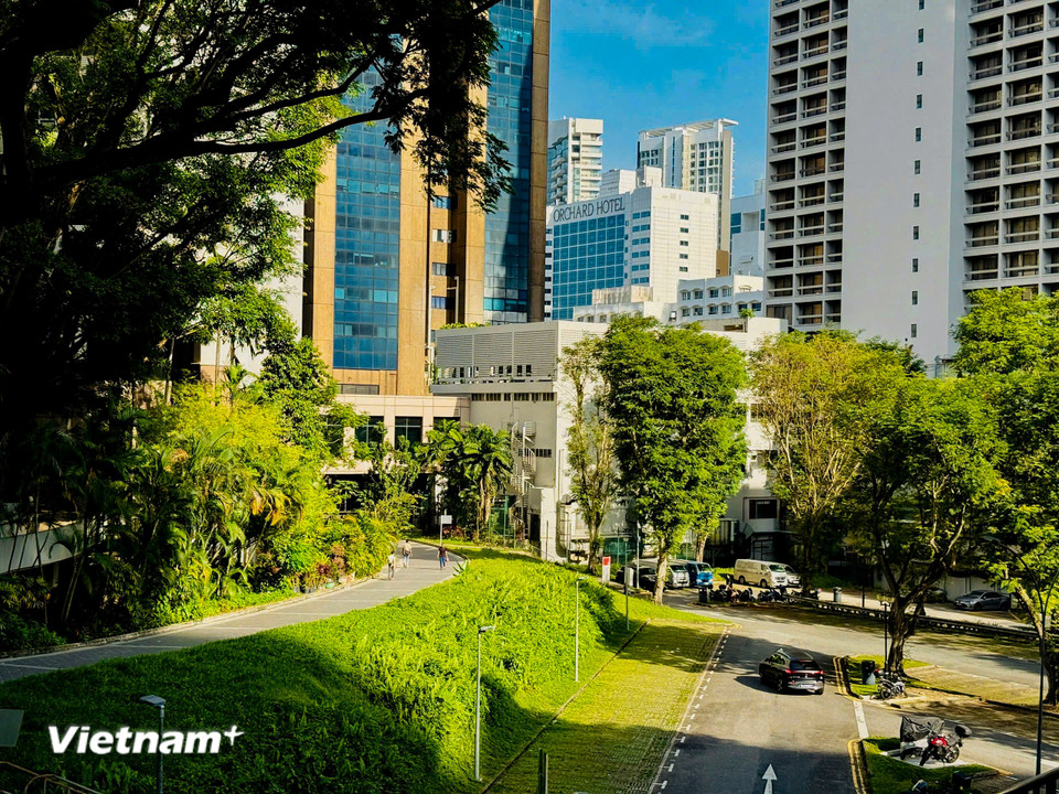 Màu xanh của cây cối phủ khắp cả nước được ví von như là “rừng trong thành phố, thành phố trong rừng”. (Ảnh: Trần Hương Sơn/Vietnam+)