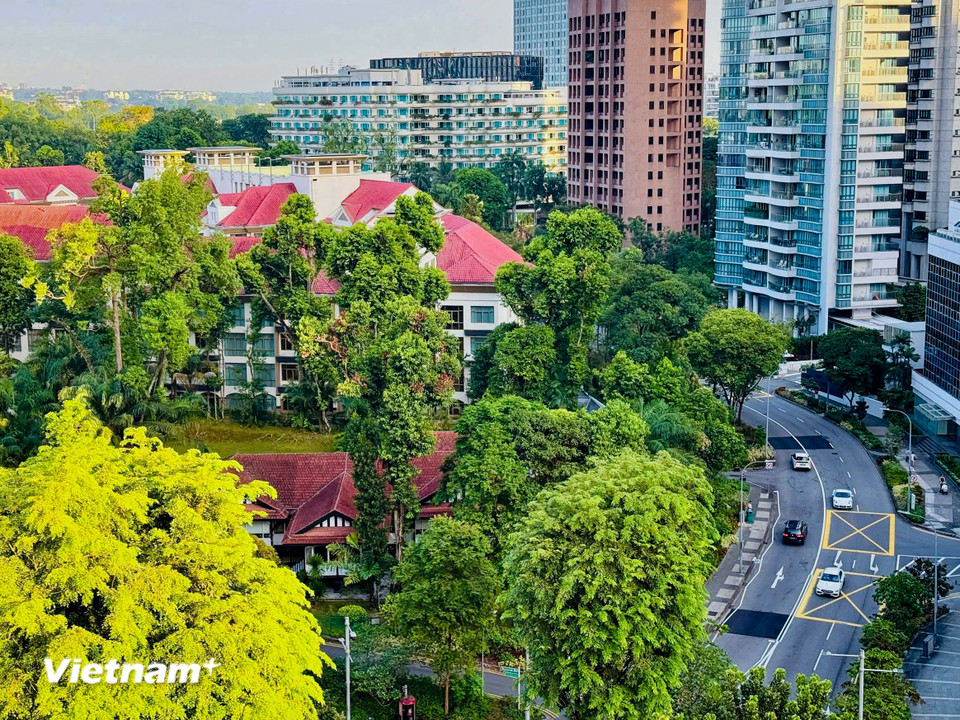 Singapore hiện là một trong những thành phố trong sạch nhất thế giới. Gần một nửa diện tích Singapore được phủ xanh bởi các công viên, đường cây. (Ảnh: Trần Hương Sơn/Vietnam+)