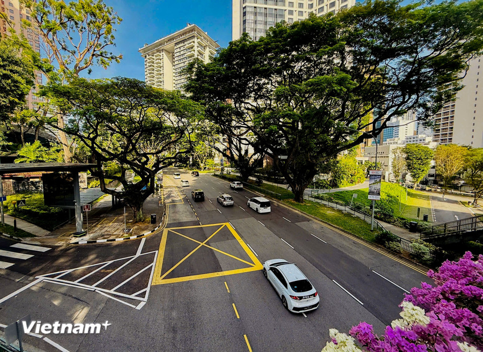Các vườn cây lẫn vào các tòa nhà, mang đến không khí trong lành, chất lượng sống cao cho cư dân. (Ảnh: Trần Hương Sơn/Vietnam+)