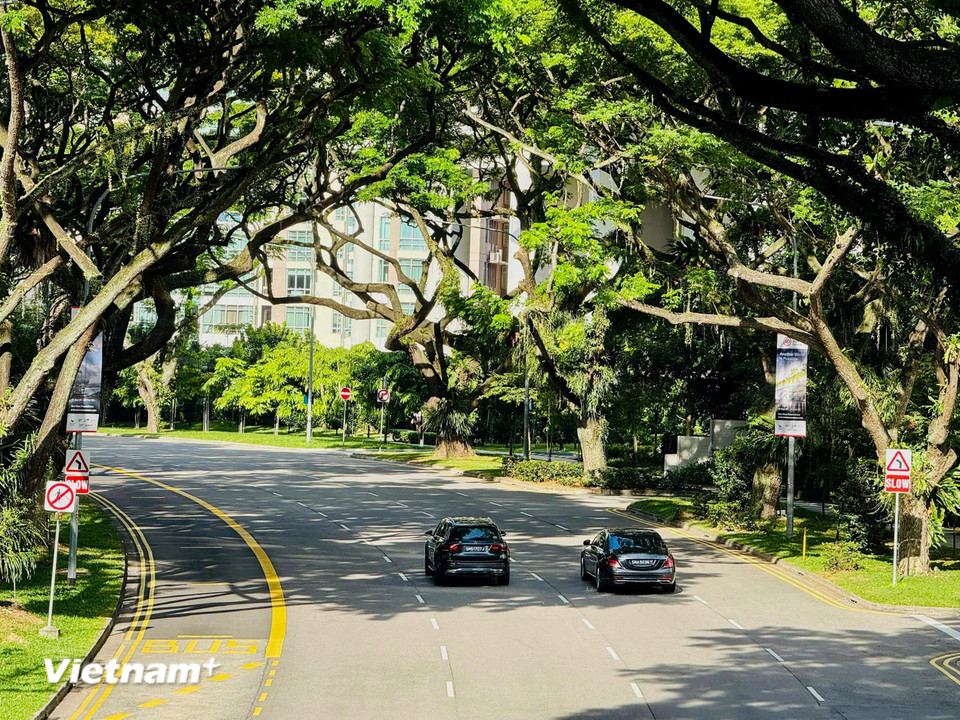 Đi đâu trên đất nước này đều có thể nhìn thấy màu xanh của cây lá. Từ công viên, đường phố, bệnh viện, trường học, đến các tòa nhà cao tầng, công sở. (Ảnh: Trần Hương Sơn/Vietnam+)