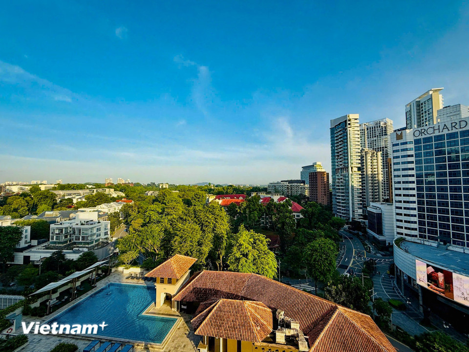 Tại bất kỳ khu vực nào của khách sạn, khách lưu trú cũng dễ dàng bắt gặp những không gian xanh mướt. (Ảnh: Trần Hương Sơn/Vietnam+)