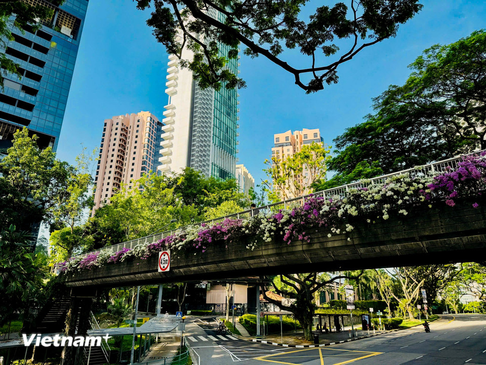 Chính quyền, người dân Singapore đã tạo ra các hình thái “vườn trong phố”, “vườn tường”, “vườn mái”, “vườn ban công”, “vườn sân thượng”. (Ảnh: Trần Hương Sơn/Vietnam+)