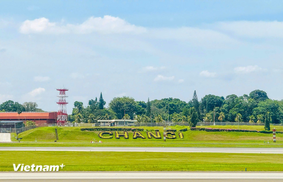 Ngay cả sân bay Changi, một trong những sân bay nổi tiếng nhất thế giới, cũng không thiếu màu xanh. (Ảnh: Trần Hương Sơn/Vietnam+)