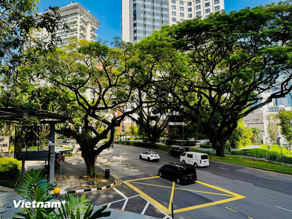 Các cơ sở hạ tầng đều được xây dựng và phát triển với định hướng chung nhằm tạo ra sự cân bằng, hòa hợp. (Ảnh: Trần Hương Sơn/Vietnam+)