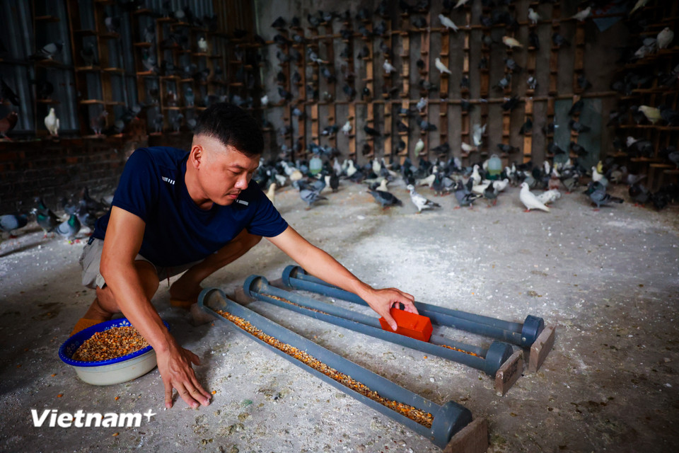 "Tôi rất hồi hộp và phấn khởi cùng cảm xúc tự hào khi góp phần nhỏ bé vào sự kiện trọng đại của đất nước," anh Thuận chia sẻ. (Ảnh: Hoài Nam/Vietnam+)