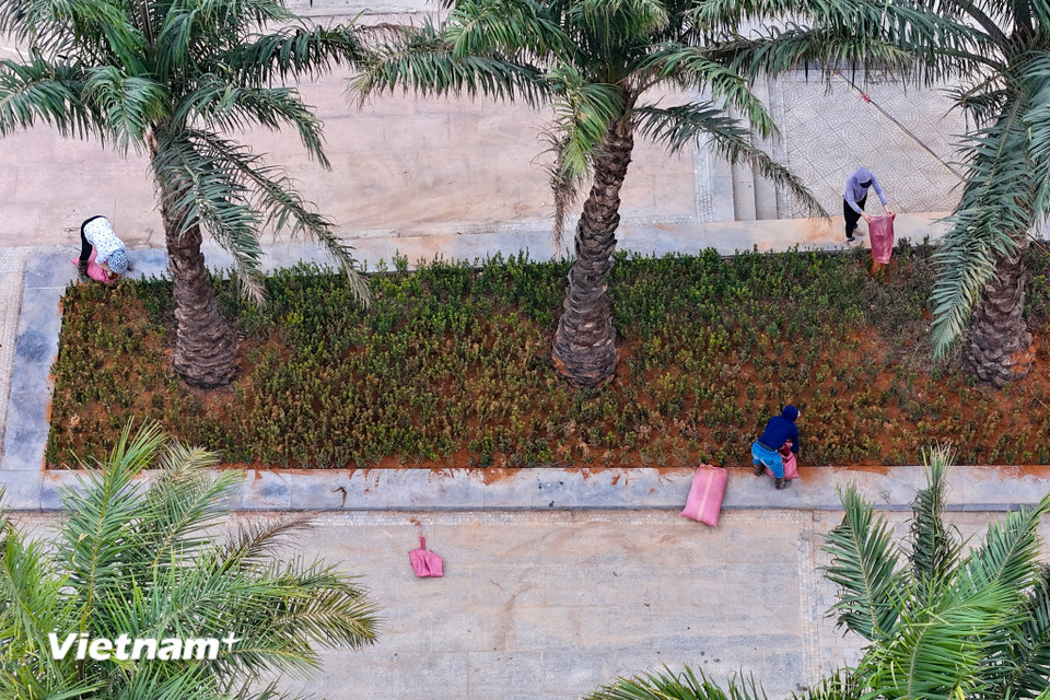 Hệ thống cây xanh được cải tạo, chăm sóc kỹ lưỡng tạo nên không gian xanh mát cho công viên. (Ảnh: Hoài Nam/Vietnam+)