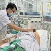 Bác sỹ theo dõi tình trạng cho bệnh nhân mắc sốt xuất huyết trong tình trạng nguy kịch. (Ảnh: PV/Vietnam+)