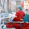Công tác cấp cứu cho bệnh nhân tại Bệnh viện Bạch Mai. (Ảnh: Minh Quyết/TTXVN)