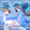 Các bác sỹ Bệnh viện Trung ương Quân đội 108 thực hiện một ca ghép tạng. (Ảnh: PV/Vietnam+)