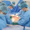 Các bác sỹ thực hiện hoạt động lấy ghép mô tạng. (Ảnh: PV/Vietnam+)
