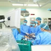 Các bác sỹ thực hiện ca ghép gan cho bệnh nhân. (Ảnh: PV/Vietnam+)