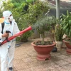 Lực lượng y tế phun độc, khử trùng, dọn dẹp loăng quăng. (Ảnh: TTXVN phát) 