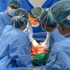 Các bác sỹ thực hiện ca ghép gan cho bệnh nhân. (Ảnh: PV/Vietnam+)
