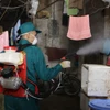 Lực lượng chức năng phun hóa chất phòng bệnh sốt xuất huyết. (Ảnh: PV/Vietnam+)